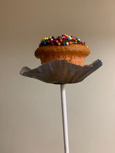 Load image into Gallery viewer, Cake Pop Buddies 12pk