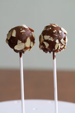 Load image into Gallery viewer, Cake Pop Buddies 12pk